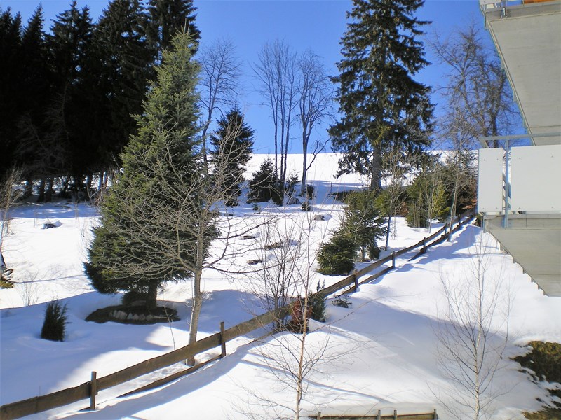 Verschneite Winterlandschaft