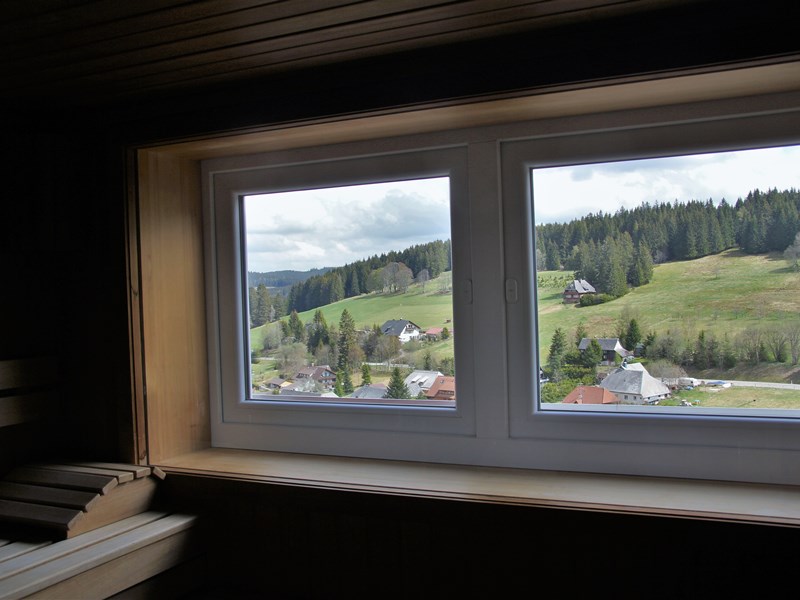 Ausblick in der Panoramasauna